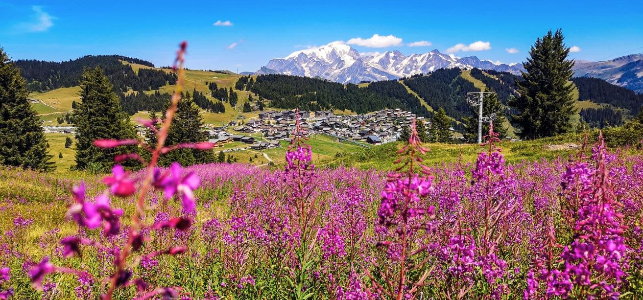 Vue panoramique depuis le Chalet Nantailly